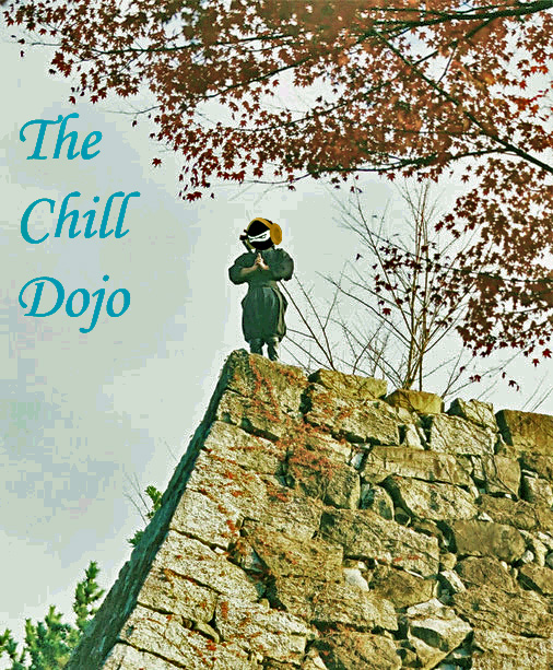 Tired? Stressed? 9 out of 10 doctors recommend The Chill Dojo as the most effective drug-free cure for whatever plagues you this Sunday.